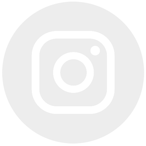 logo-light-insta